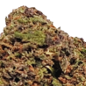 Fleur de cbd française -Sahir Kush