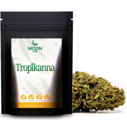 Tropikanna