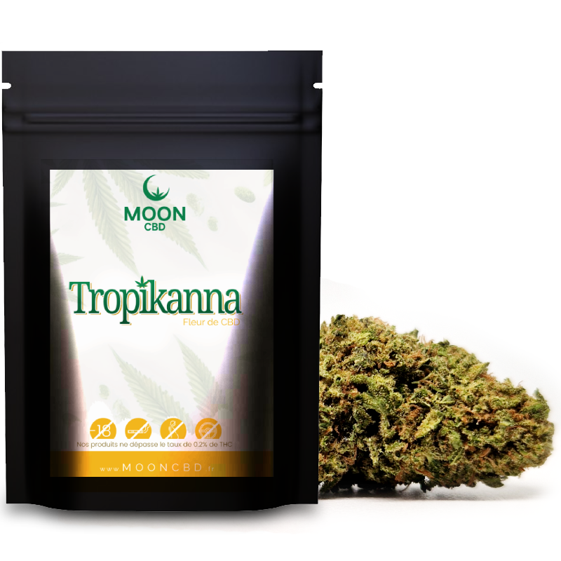Tropikanna
