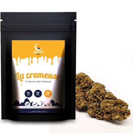 La cremeuse - fleur cbd
