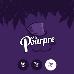 Mr pourpre