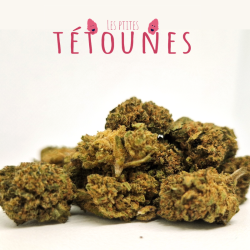 Les p'tites tétounes