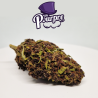Mr pourpre