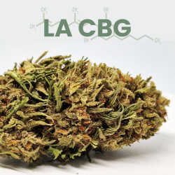 La CBG
