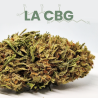 La CBG