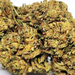 La cremeuse - fleur cbd