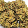 La cremeuse - fleur cbd
