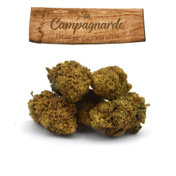 La campagnarde