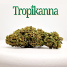 Tropikanna